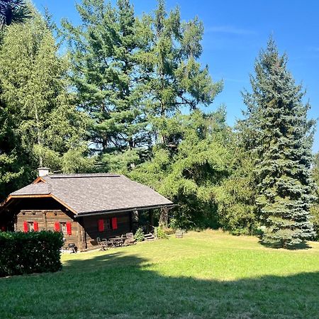 Cozy Log Cabin near Faaker See Ledenitzen Kültér fotó